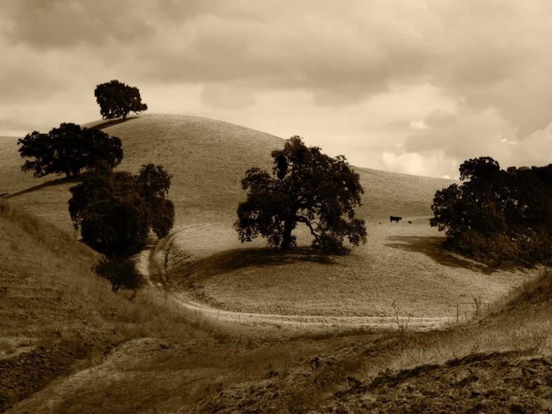 sudoku strategy guide screenshot 6