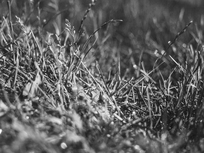 sudoku strategy guide screenshot 4